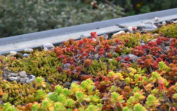 the cost of Cramlington green roof installation